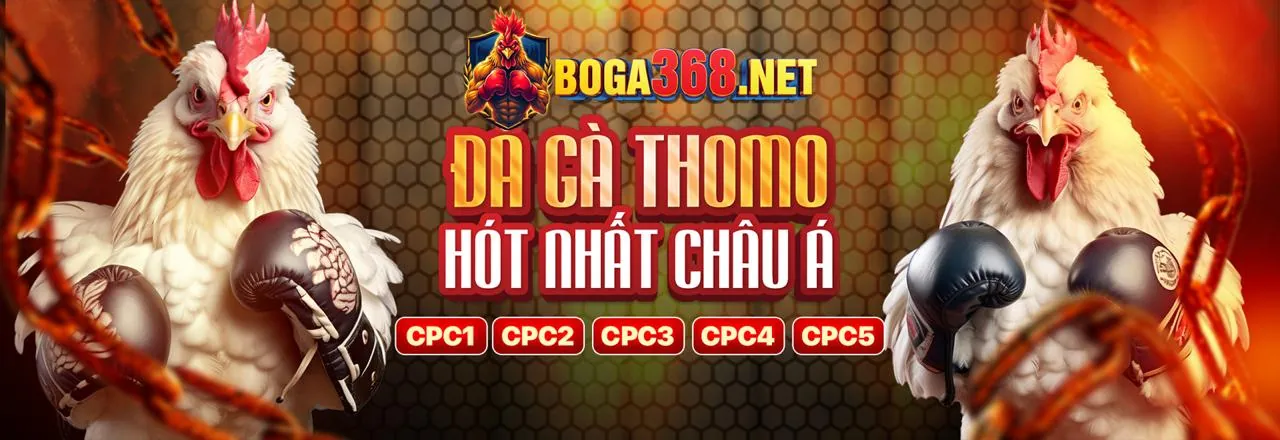 Khuyến mãi độc quyền tại 88m hiện đang mở